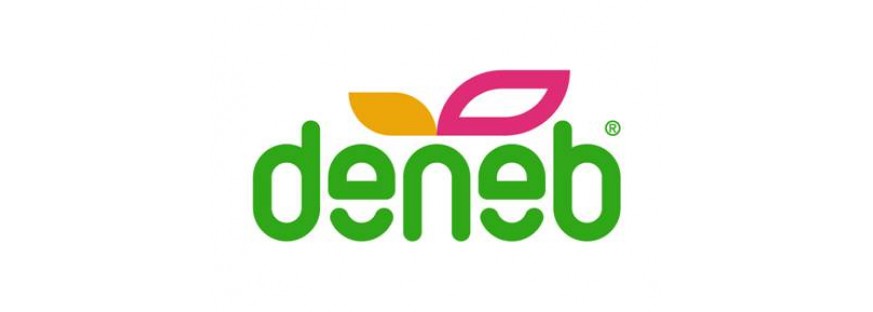 Денеб